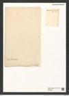 Liradiscus minutus Grev. (de-Toni-Nr.: Genus 192, Species 1036042) Zeichnungen Sammlung Grunow (NHMW-BOT-W0377804)